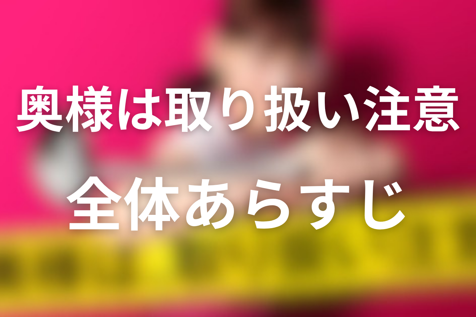 ドラマ「奥様は、取り扱い注意」全体あらすじ
