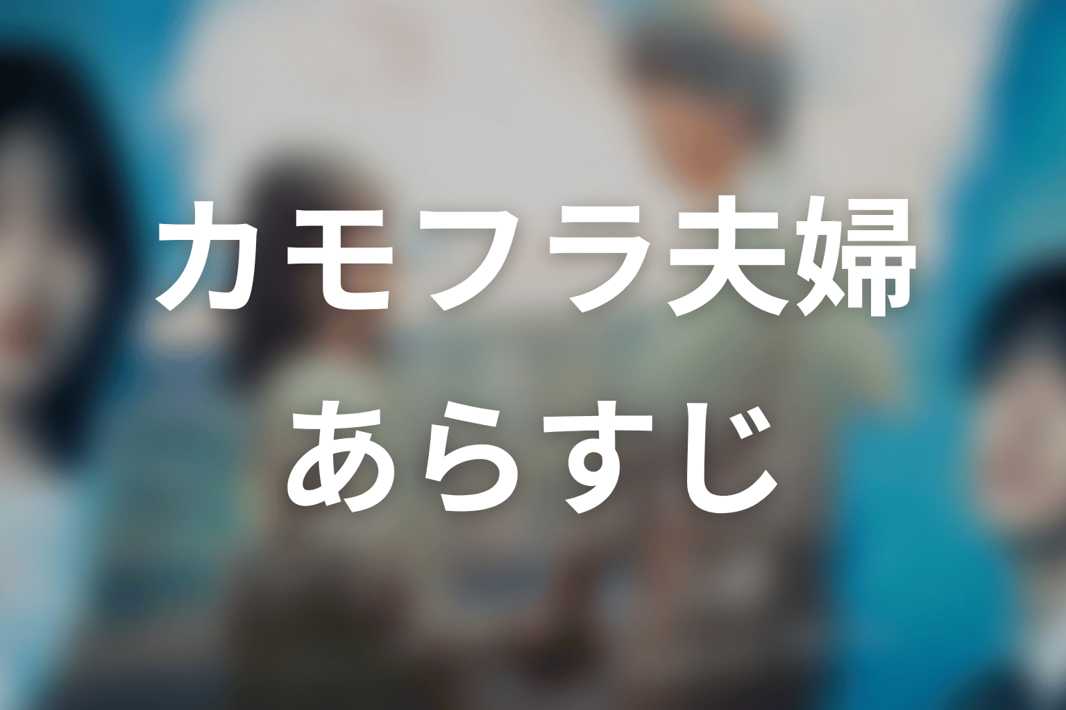 【もう1度夫婦になりますか？～カモフラージュ夫婦～】のあらすじ