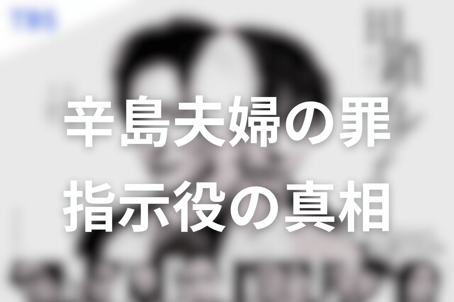 辛島貞夫と辛島ふみは何をした？茂木を利用した指示役の罪を整理