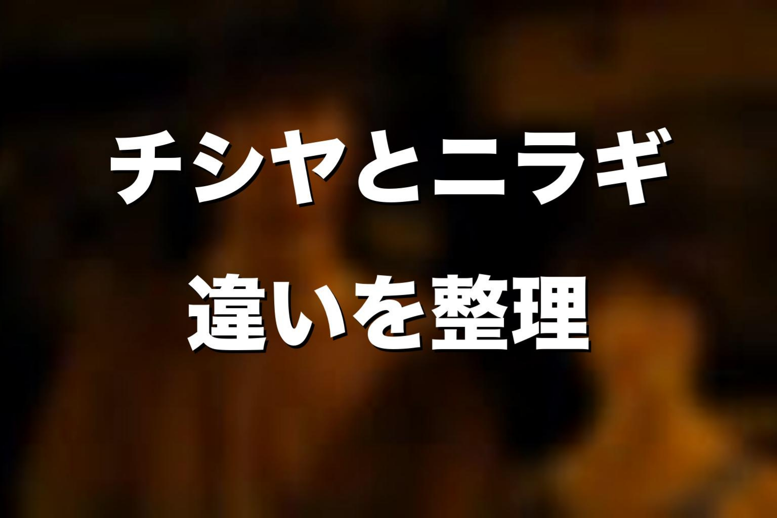 チシヤとニラギの違いを考察
