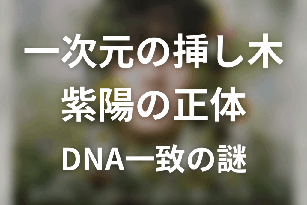 一次元の挿し木 紫陽の正体は？原作ネタバレでDNA一致と結末を解説