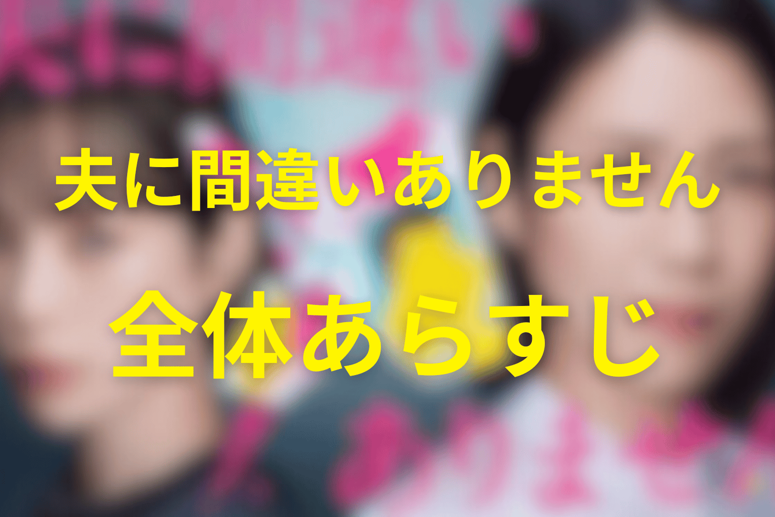 ドラマ『夫に間違いありません』の全体あらすじ