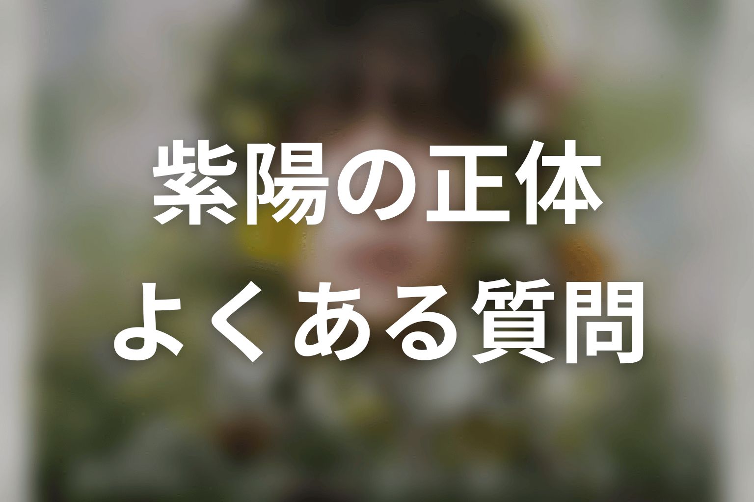 「一次元の挿し木」紫陽の正体に関するFAQ