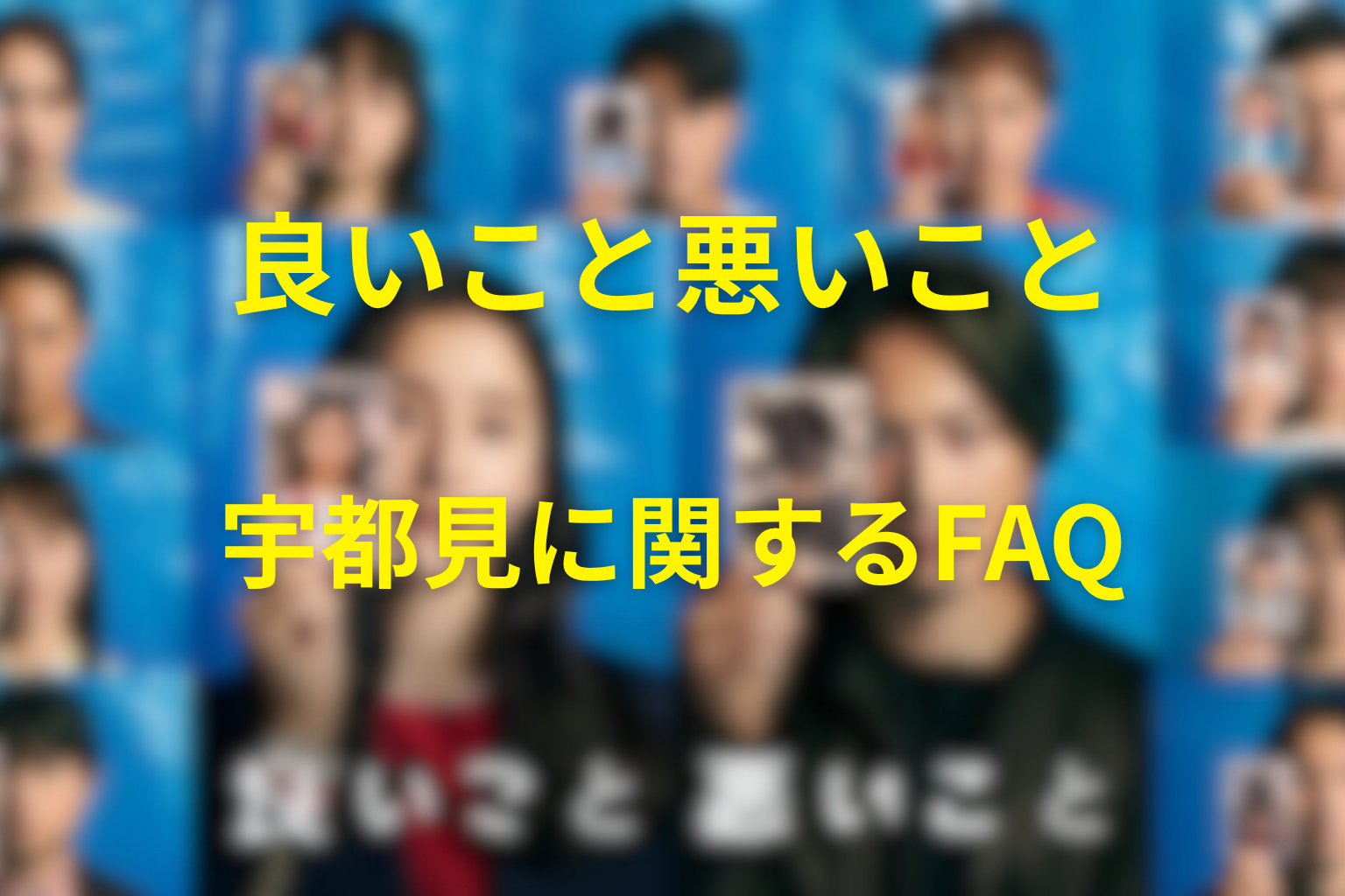 「良いこと悪いこと」のせとしおんに関するFAQ