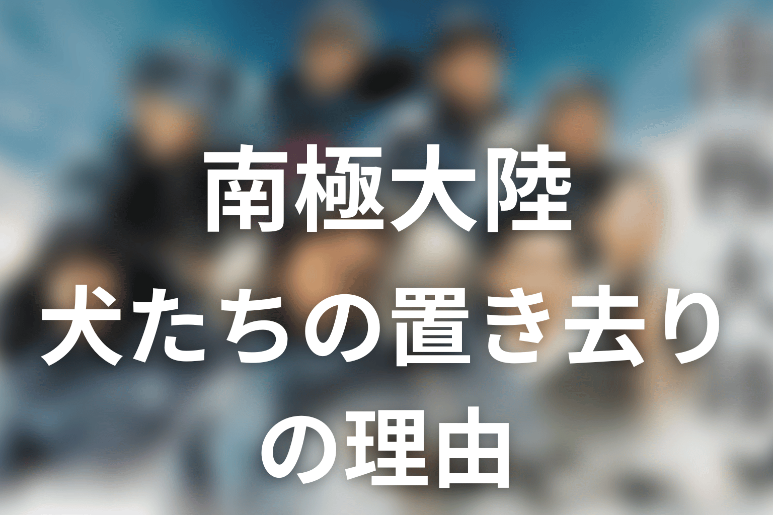 犬たちはなぜ南極に置き去りにされた？判断までの経緯を解説