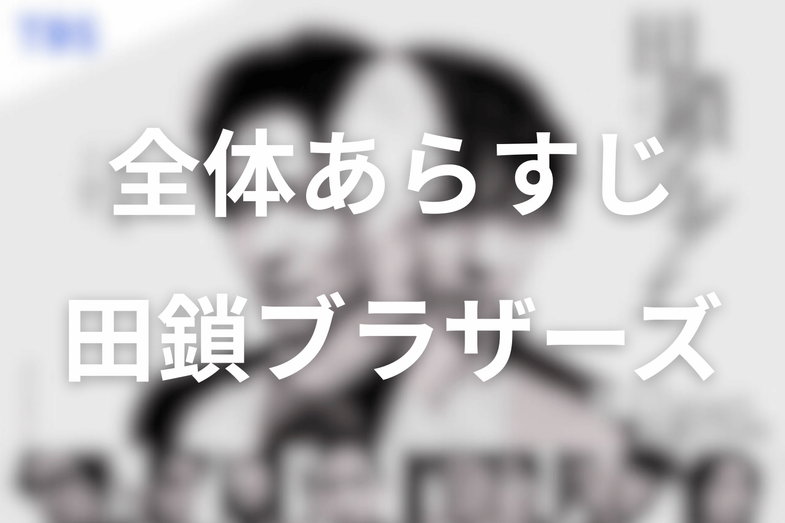 ドラマ「田鎖ブラザーズ」の全体あらすじ
