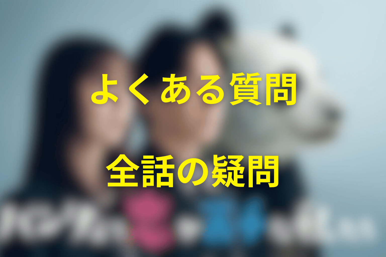 『パンダより恋が苦手な私たち』のよくある質問