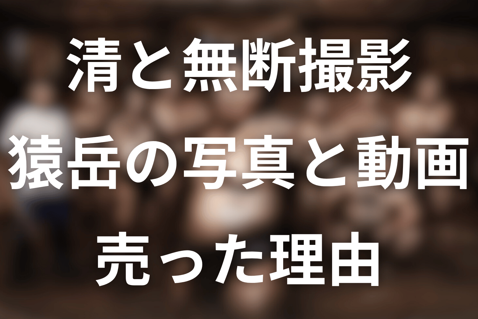 清はなぜ猿岳の写真と動画を売った？