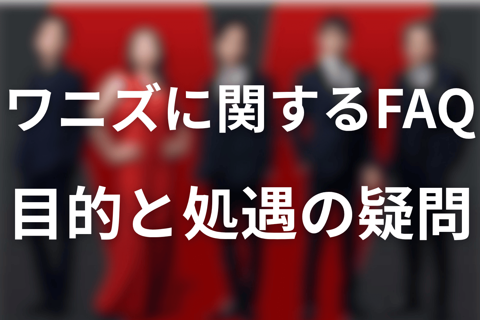 ヴィヴァンのワニズに関するFAQ